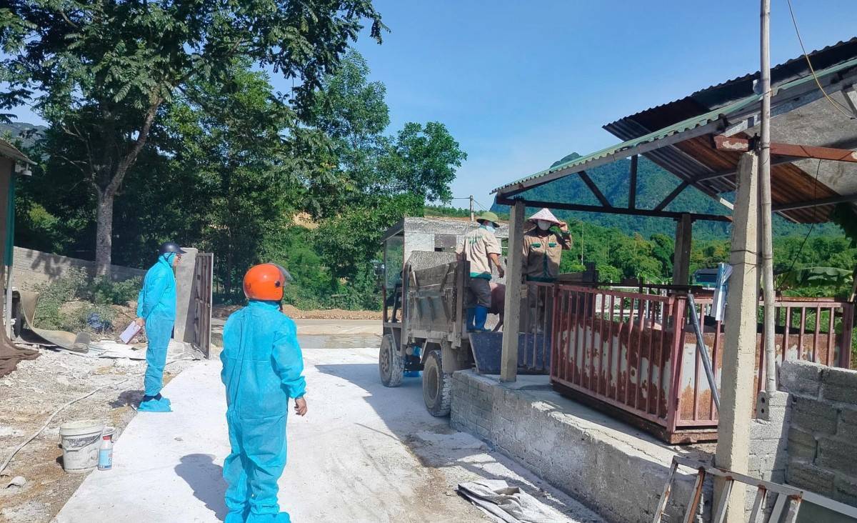 Phú Thọ ghi nhận 36 xã có dịch tả lợn châu Phi, tiêu huỷ hơn 148 tấn lợn Phú Thọ ghi nhận 36 xã có dịch tả lợn châu Phi, tiêu huỷ hơn 148 tấn lợn