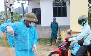 Phú Thọ ghi nhận 36 xã có dịch tả lợn châu Phi, tiêu huỷ hơn 148 tấn lợn