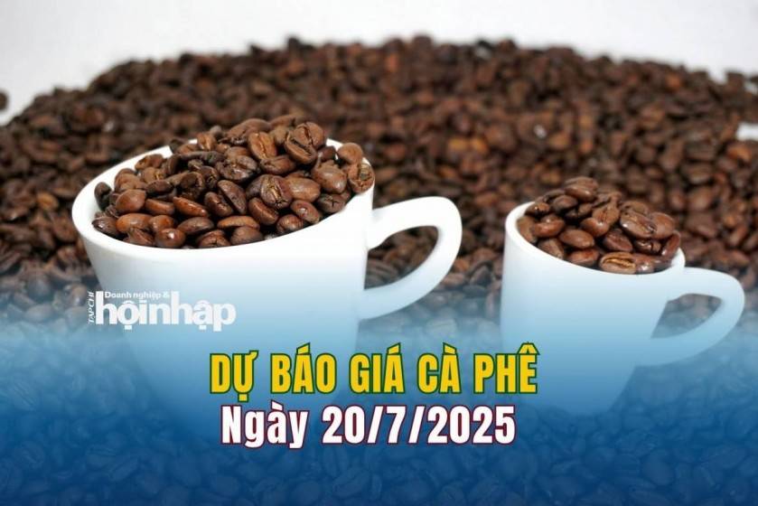 Dự báo giá cà phê 20/7: Cà phê trong nước có xu hướng tăng "vùn vụt"
