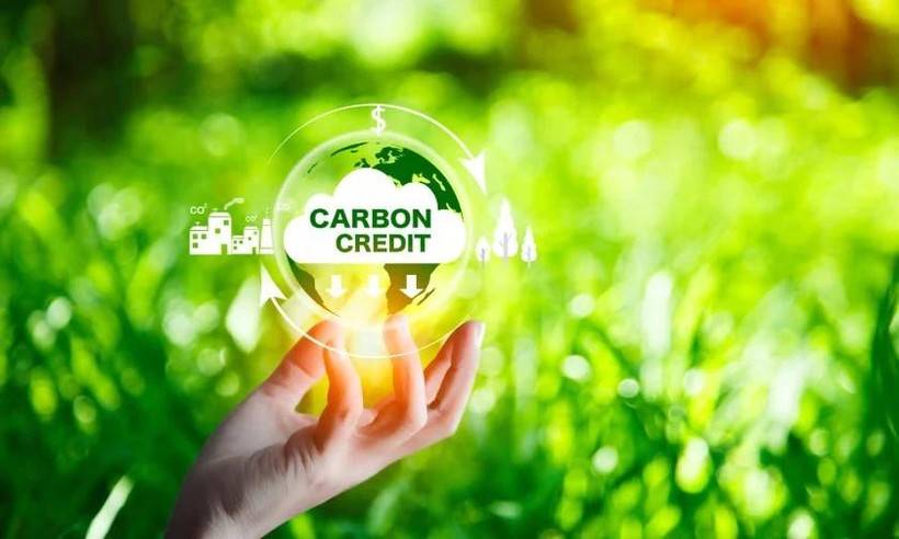 PGS.TS Nguyễn Đình Thọ: Thị trường carbon là công cụ hiện thực hoá Net Zero 2050