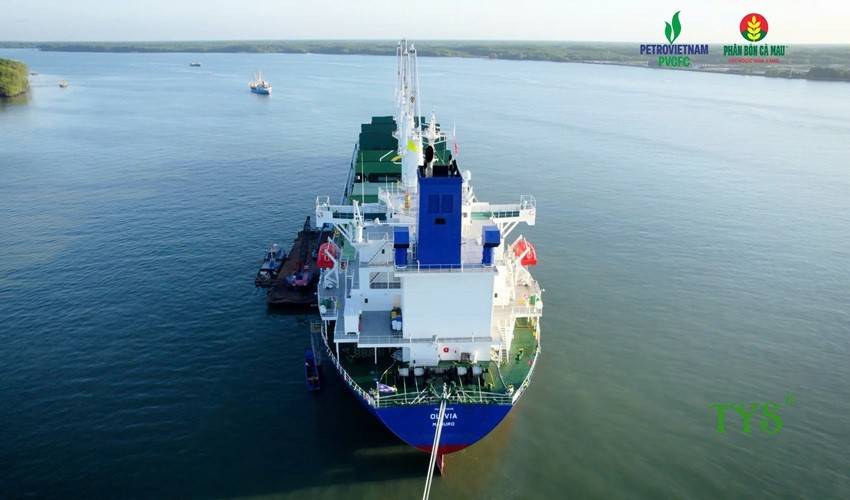 Phân bón Cà Mau vào thị trường Úc được miễn kiểm tra tại cảng