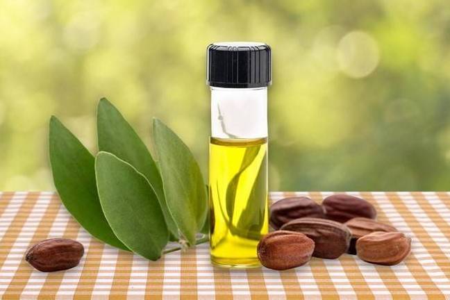 Cục Quản lý Dược yêu cầu thu hồi, tiêu hủy và truy nguồn gốc 4 lô Dầu mù u Thái Dương không đạt chất lượng