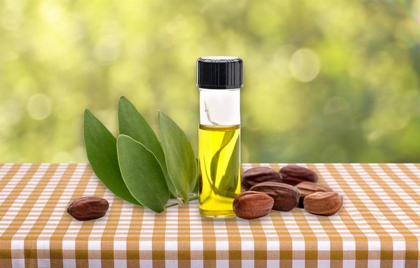 Cục Quản lý Dược yêu cầu thu hồi, tiêu hủy và truy nguồn gốc 4 lô Dầu mù u Thái Dương không đạt chất lượng