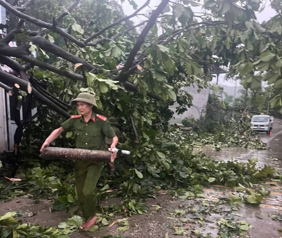 Phú Thọ: Mưa lớn gây thiệt hại nặng về nhà ở, trường học và hạ tầng