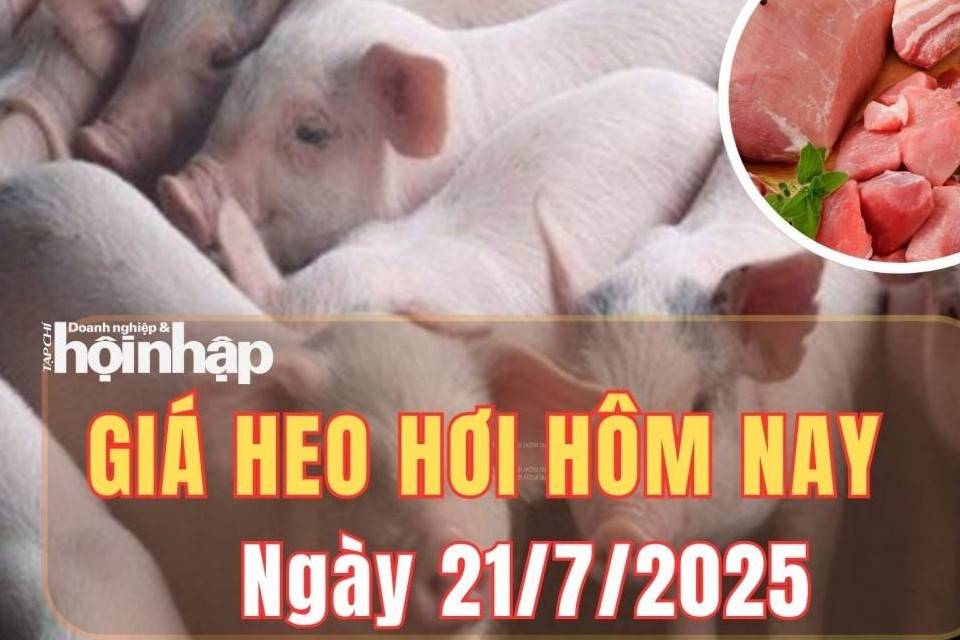 Giá heo hơi hôm nay 21/7/2025: Giá heo hơi ổn định trên toàn quốc, thịt heo bán lẻ giữ giá