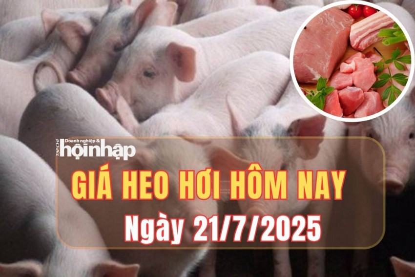 Giá heo hơi hôm nay 21/7/2025: Giá heo hơi ổn định toàn quốc, thịt heo bán lẻ giữ giá