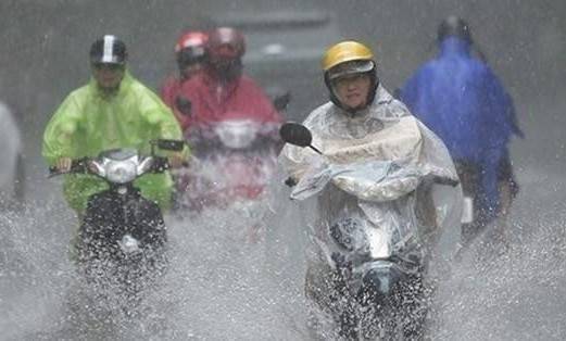 Phú Thọ: Dự báo mưa lớn diện rộng, nguy cơ ngập úng và sạt lở đất