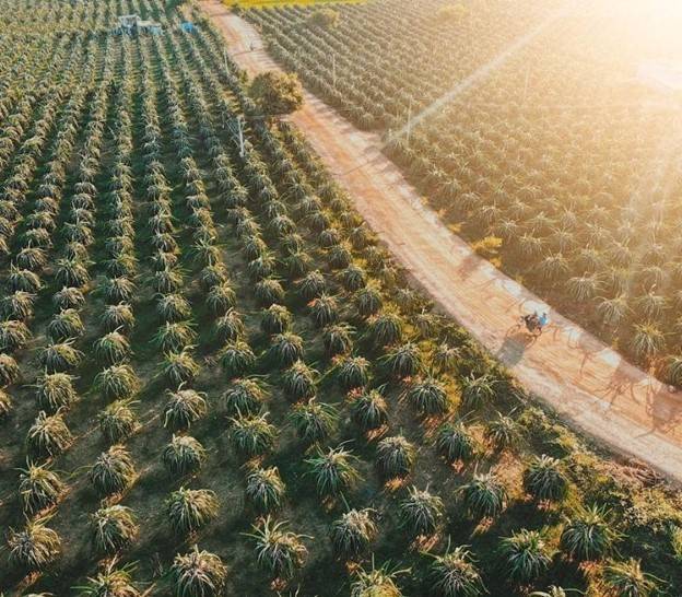 Sản phẩm OCOP Lâm Đồng: Bứt phá nhờ chuyển đổi số và truy xuất nguồn gốc