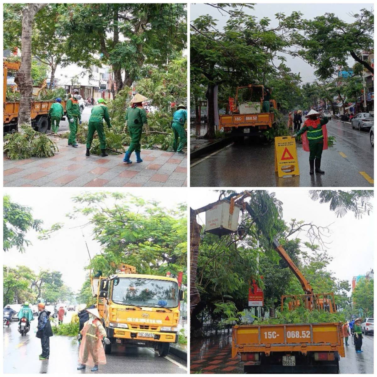 Một trong những nhiệm vụ quan trọng được thực hiện ngay trong những ngày đầu là cắt tỉa, chằng chống cây xanh tại các tuyến phố chính, khu vực trung tâm thành phố.
