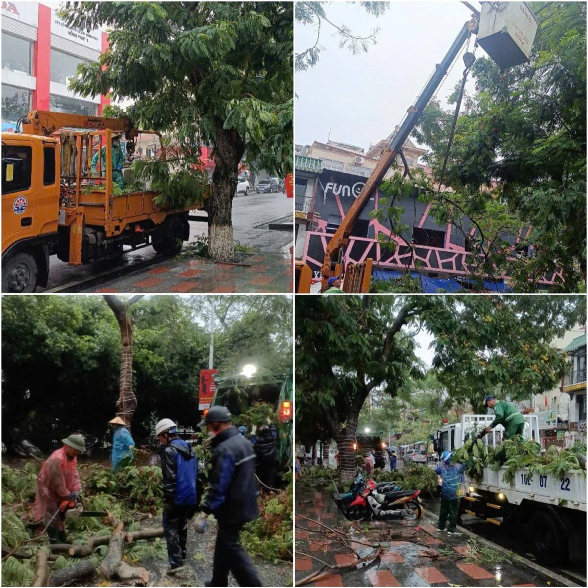 Một trong những nhiệm vụ quan trọng được thực hiện ngay trong những ngày đầu là cắt tỉa, chằng chống cây xanh tại các tuyến phố chính, khu vực trung tâm thành phố.