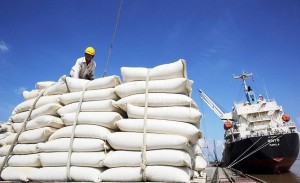 Xuất khẩu gạo: Doanh nghiệp lao đao vì giá giảm và vướng mắc VAT