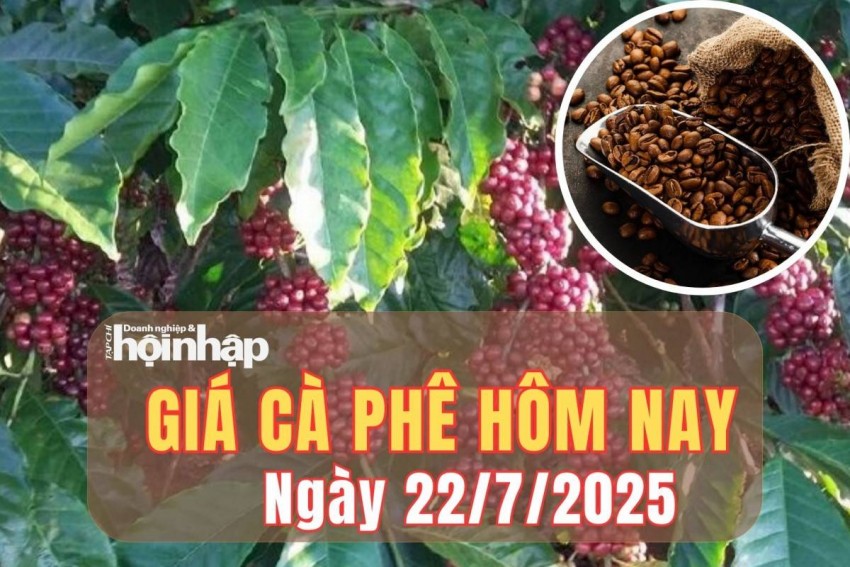 Giá cà phê hôm nay 22/7/2025: Giá cà phê thế giới lao dốc mạnh, trong nước đi ngang