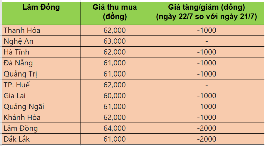 Bảng giá heo hơi tại miền Trung - Tây nguyên hôm nay 22/7/2025