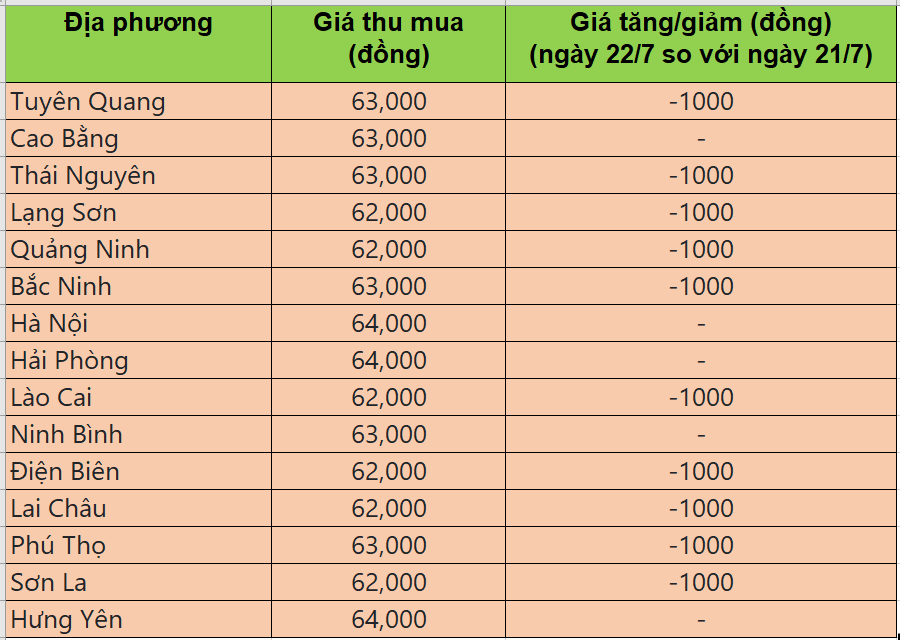 Bảng giá heo hơi tại miền Bắc hôm nay 22/7/2025