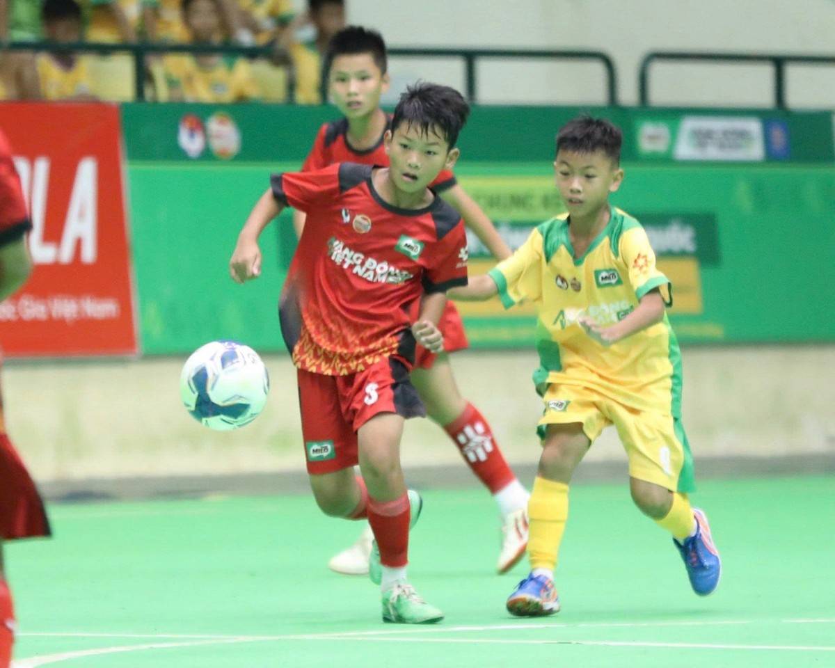 giải đấu đã chứng minh vai trò là cái nôi phát hiện và ươm mầm những tài năng bóng đá nhí cho bóng đá Việt Nam.