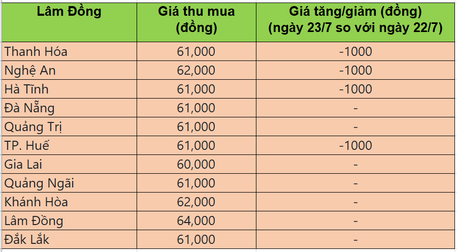 Bảng giá heo hơi tại miền Trung - Tây nguyên hôm nay 23/7/2025