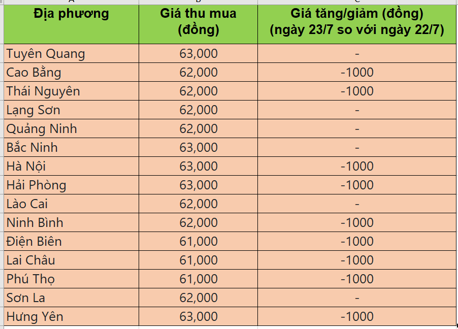 Bảng giá heo hơi tại miền Bắc hôm nay 23/7/2025