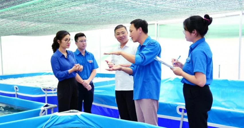 Kiến nghị giữ quy định bắt buộc tham gia bảo hiểm thất nghiệp trong Dự thảo Luật Việc làm Kiến nghị giữ quy định bắt buộc tham gia bảo hiểm thất nghiệp trong Dự thảo Luật Việc làm