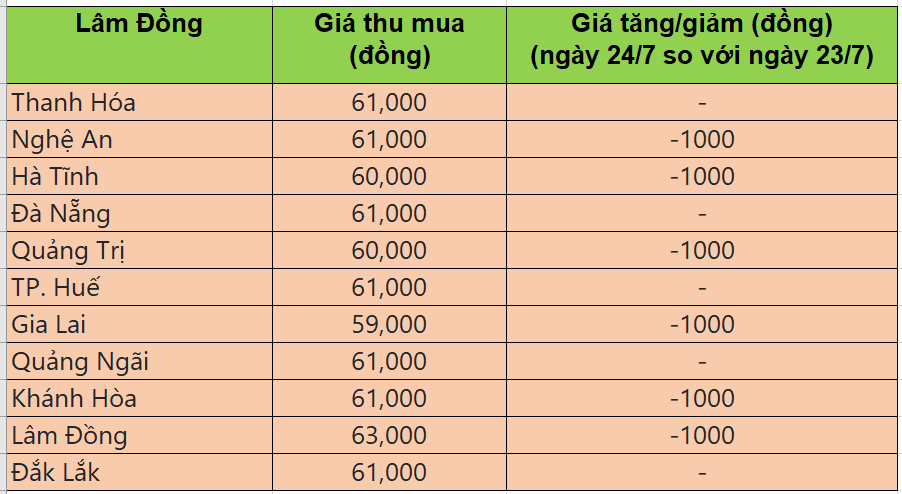 Bảng giá heo hơi tại miền Trung - Tây nguyên hôm nay 24/7/2025