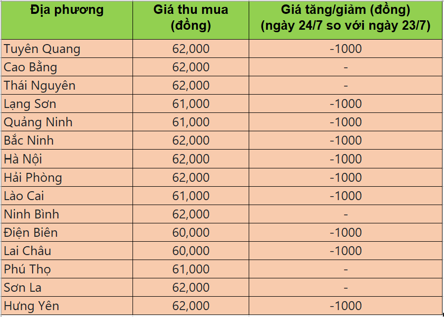 Bảng giá heo hơi tại miền Bắc hôm nay 24/7/2025
