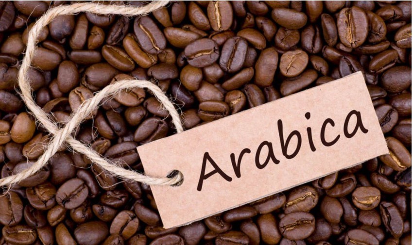 Cơ hội nào cho cà phê Việt khi Mỹ “bẻ lái” thương mại với Brazil?