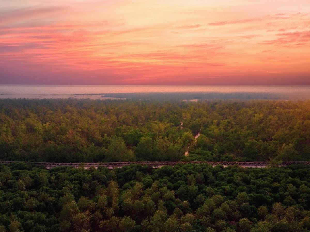 Kết nối sâu sắc và trở thành một phần của thiên nhiên