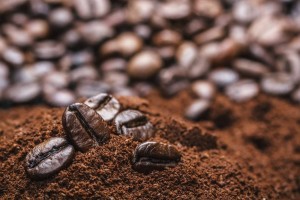 Thủ tướng Chính phủ chỉ đạo tháo gỡ “nút thắt” cho ngành cà phê và cá ngừ