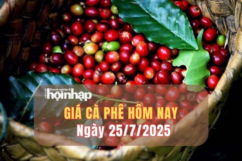 Giá cà phê hôm nay 25/7/2025: Giá cà phê trong nước và thế giới tiếp đà "bật" tăng nhẹ