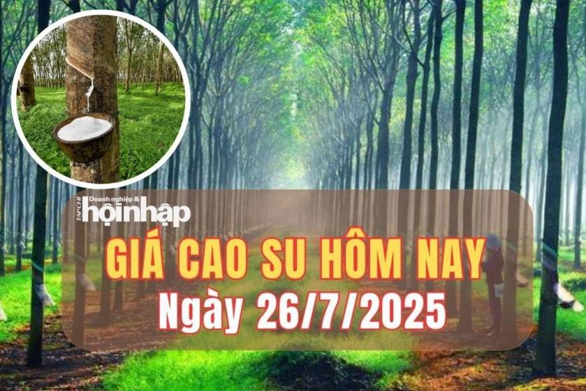 Giá cao su hôm nay 26/7/2025: Giá cao su trong nước ổn định, thế giới tăng giảm trái chiều
