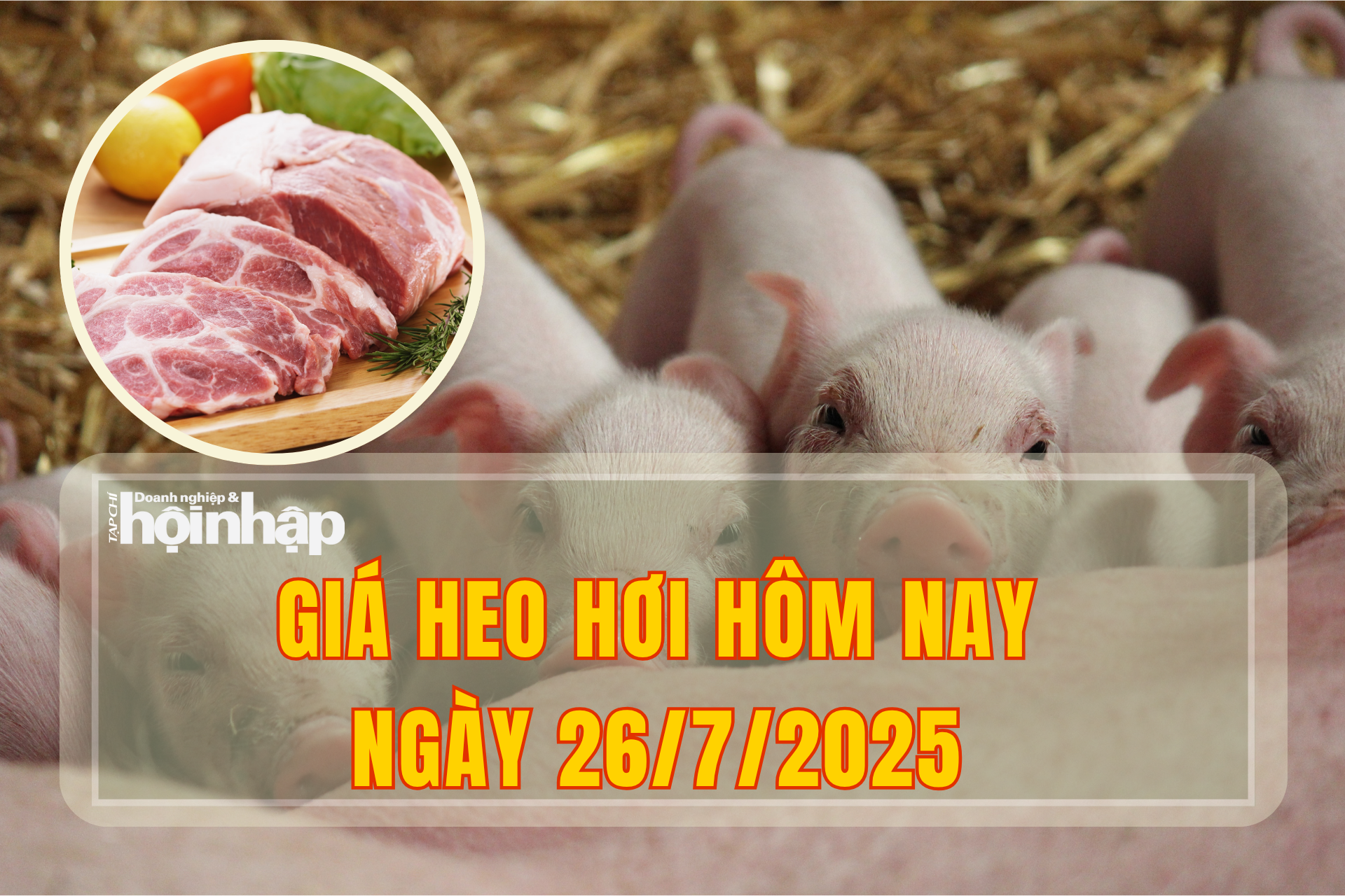 Giá heo hơi hôm nay 26/7/2025: Thị trường quay đầu tiếp tục giảm sâu trên cả nước