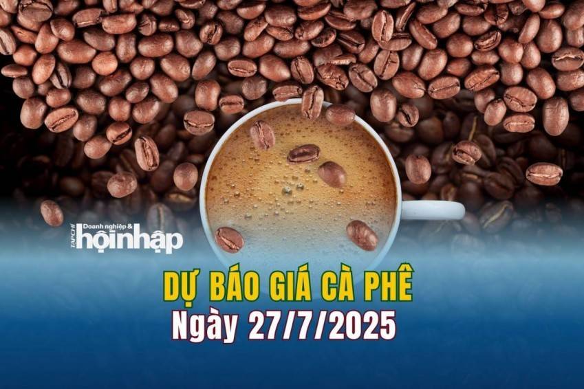 Dự báo giá cà phê 27/7: Cà phê trong nước đảo chiều "lao dốc"