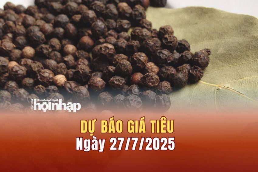 Dự báo giá tiêu 27/7: Giá tiêu trong nước tiếp đà giảm nhẹ