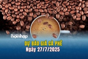 Dự báo giá cà phê 27/7: Cà phê trong nước đảo chiều "lao dốc"