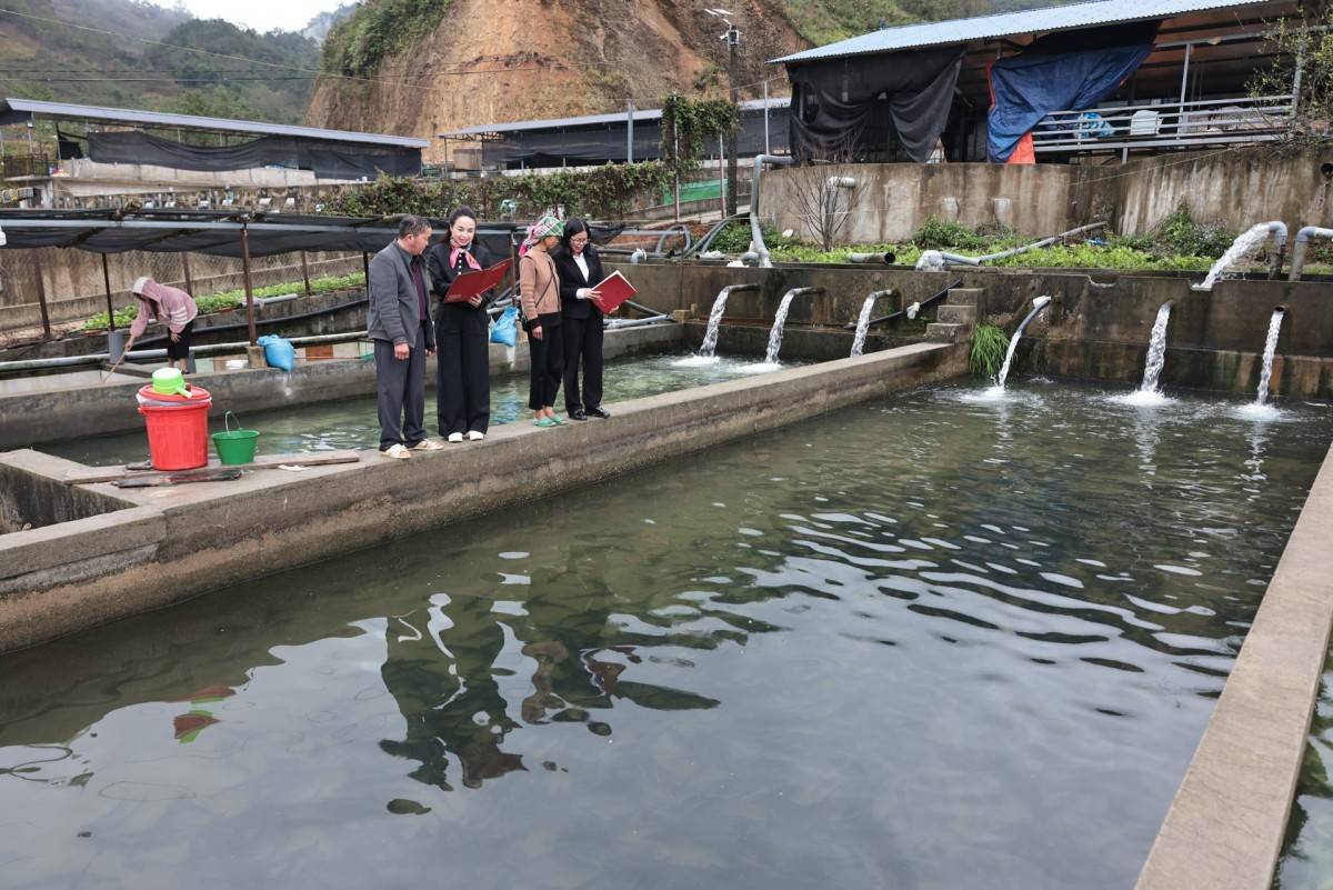 Agribank Lai Châu triển khai gói tín dụng 60.000 tỷ đồng hỗ trợ người dân, doanh nghiệp Agribank Lai Châu triển khai gói tín dụng 60.000 tỷ đồng hỗ trợ người dân, doanh nghiệp