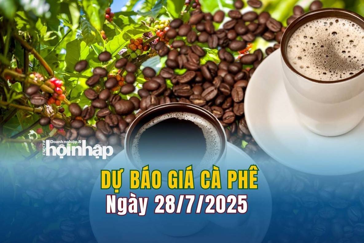Dự báo giá cà phê 28/7: Cà phê trong nước có xu hướng "quay xe" tăng mạnh