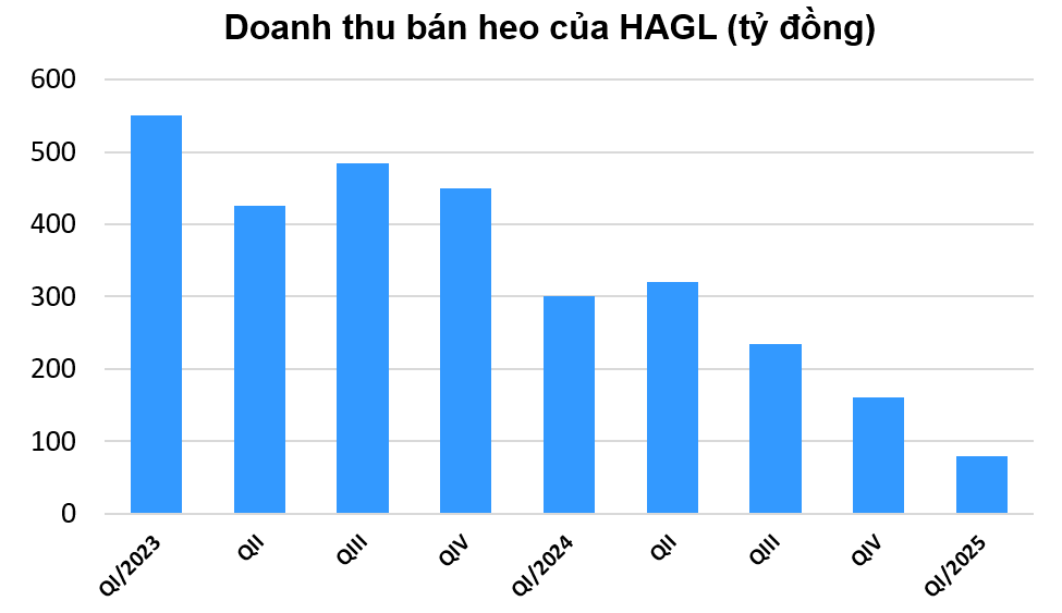 Lỡ nhịp với giá heo tăng chóng mặt, Hoàng Anh Gia Lai rẽ hướng sang trồng cà phê và nuôi dâu tằm Lỡ nhịp với giá heo tăng chóng mặt, Hoàng Anh Gia Lai rẽ hướng sang trồng cà phê và nuôi dâu tằm