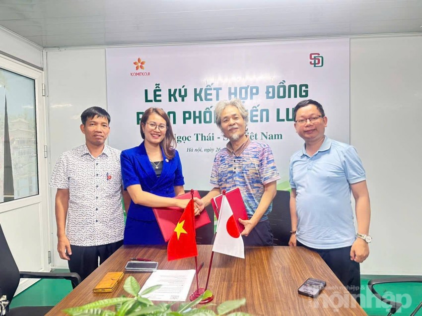 Bà Nguyễn Thị Dung – Giám đốc SD Việt Nam cùng ký kết hợp đồng phân phối sản phẩm gạo lên men KomeKoji SD Việt Nam ký kết phân phối gạo lên men KomeKoji cùng Công ty CP thực phẩm Ngọc Thái