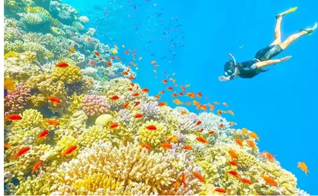 Khánh Hòa: Thời cơ lịch sử để bứt phá thành Trung tâm du lịch biển quốc tế