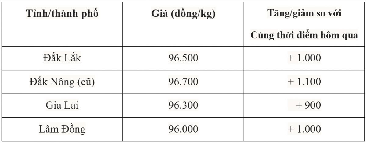Bảng giá cà phê trong nước hôm nay 29/7/2025