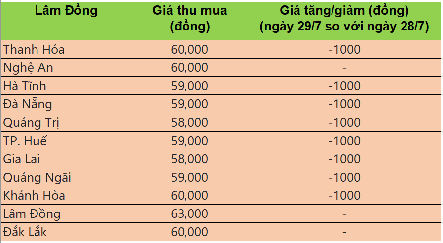 Bảng giá heo hơi tại miền Trung - Tây nguyên hôm nay 24/7/2025