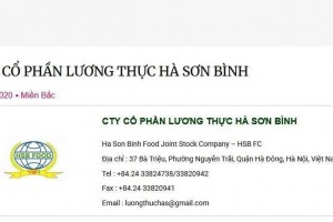 Lương thực Hà Sơn Bình, Lũng Lô 3.1 bị bêu tên vì nợ thuế hàng chục tỷ đồng
