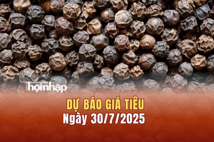 Dự báo giá tiêu 30/7/2025