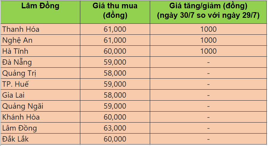 Bảng giá heo hơi tại miền Trung - Tây nguyên hôm nay 30/7/2025