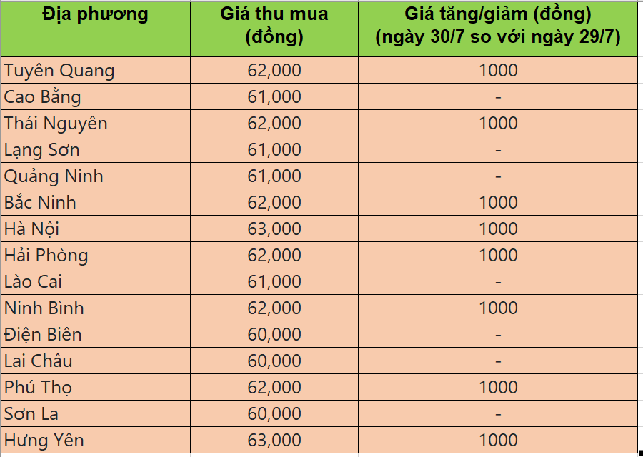 Bảng giá heo hơi tại miền Bắc hôm nay 30/7/2025