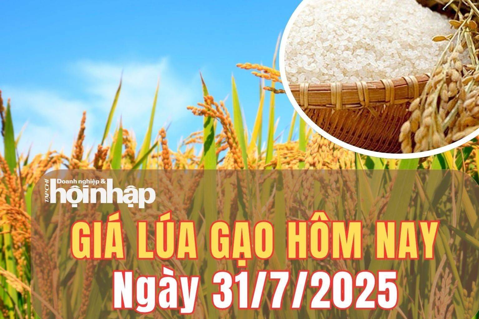 Giá lúa gạo hôm nay 31/7/2025: Gạo Việt tăng giá trên thị trường xuất khẩu, gao nội địa biến động nhẹ