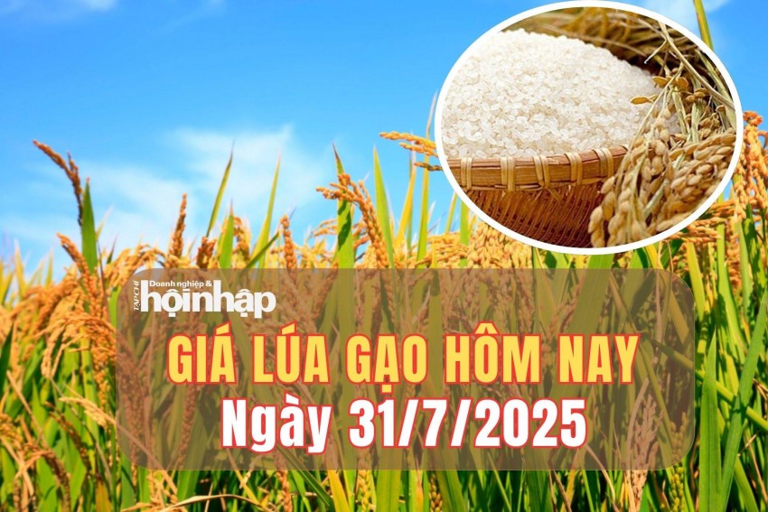 giá lúa gạo