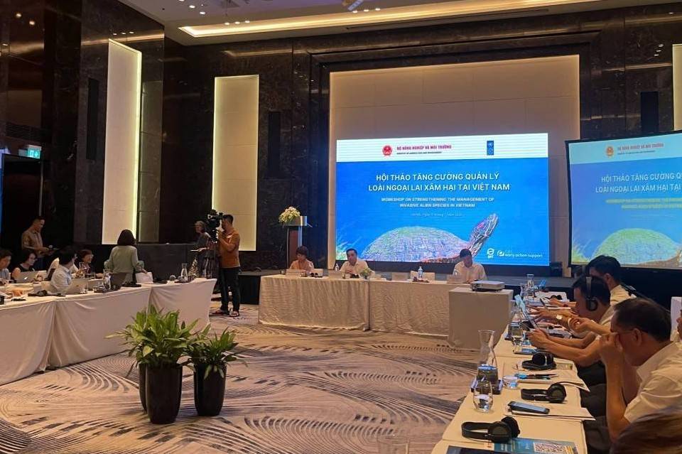 Thúc đẩy ngăn ngừa và kiểm soát các loài ngoại lai xâm hại