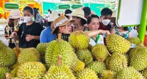 Tiêu chuẩn mới cho sầu riêng xuất khẩu: Nâng chất, giữ uy tín nông sản Việt