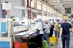 Quy định hưởng bảo hiểm thất nghiệp năm 2025 không thay đổi