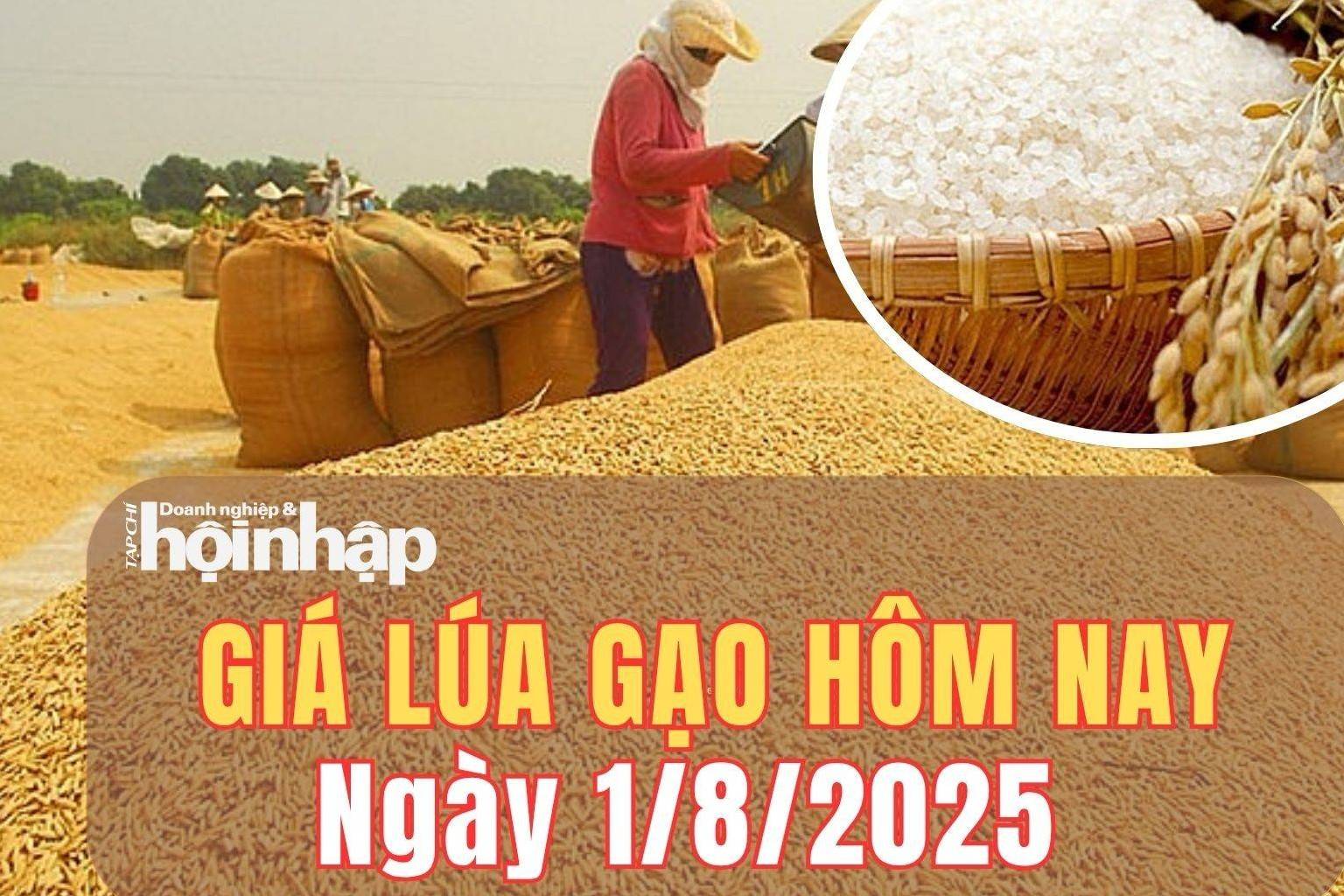 Giá lúa gạo hôm nay 1/8/2025: Giá gạo nguyên liệu đảo chiều giảm nhẹ